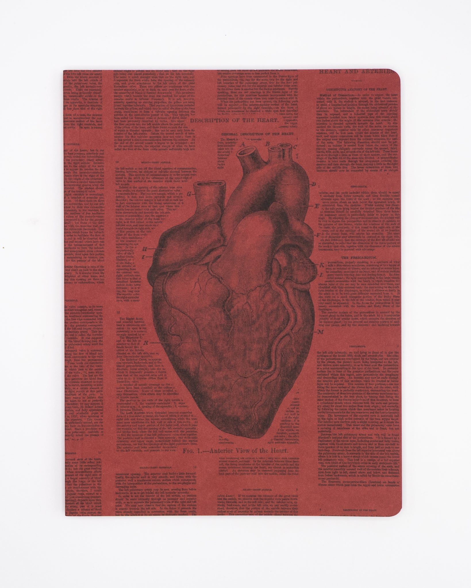 Anatomical Heart Softcover Notebook