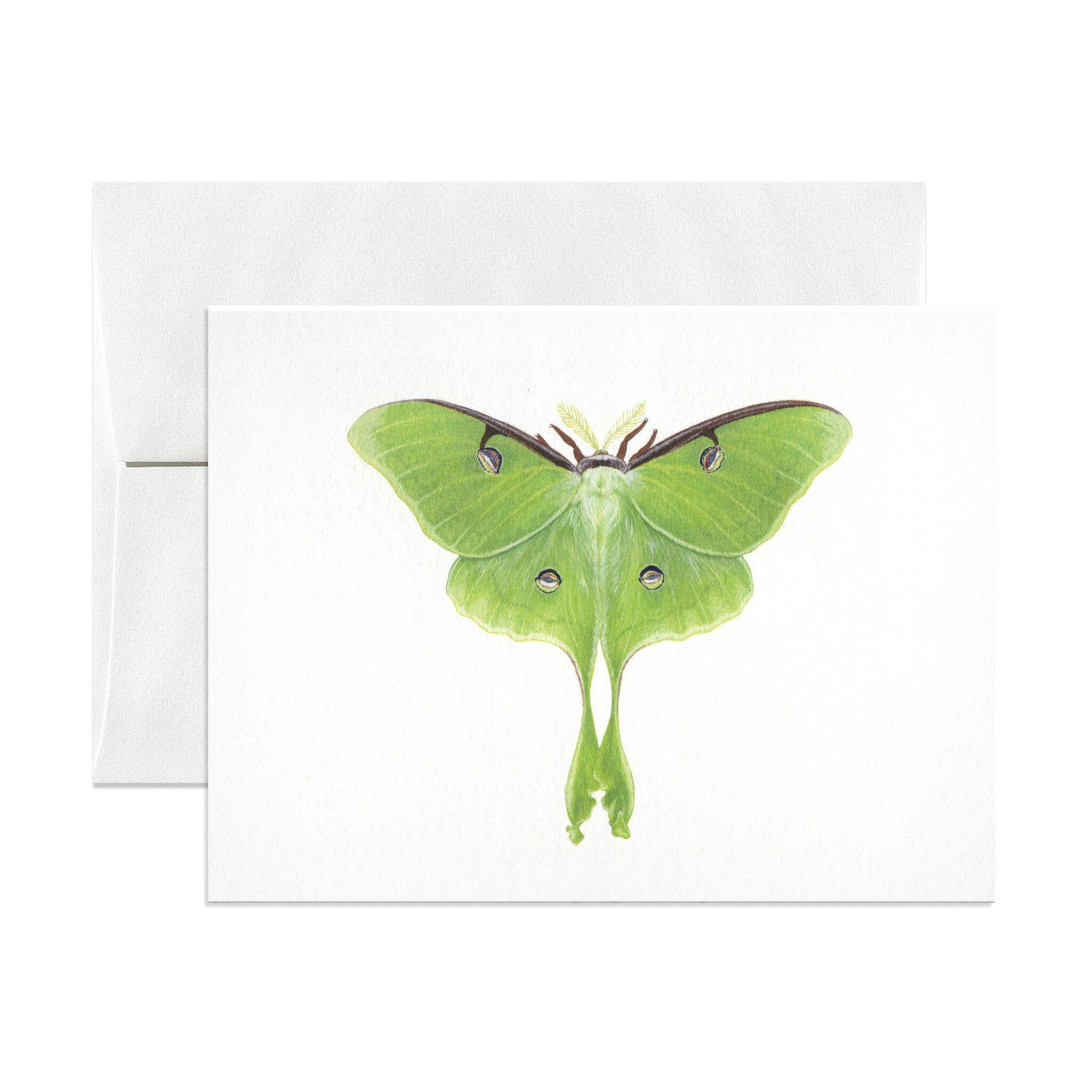 Luna Moth Greeting Card