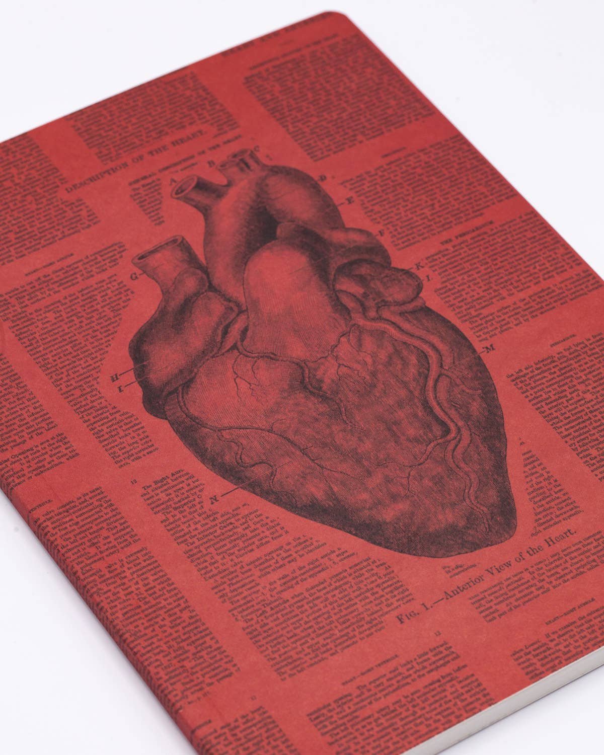 Anatomical Heart Softcover Notebook