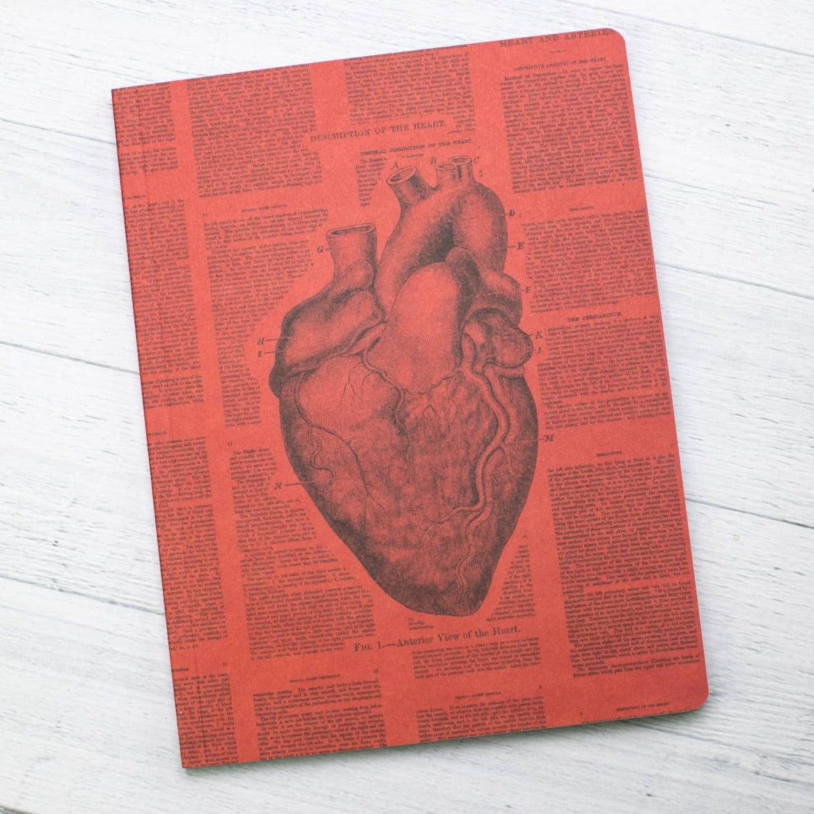 Anatomical Heart Softcover Notebook