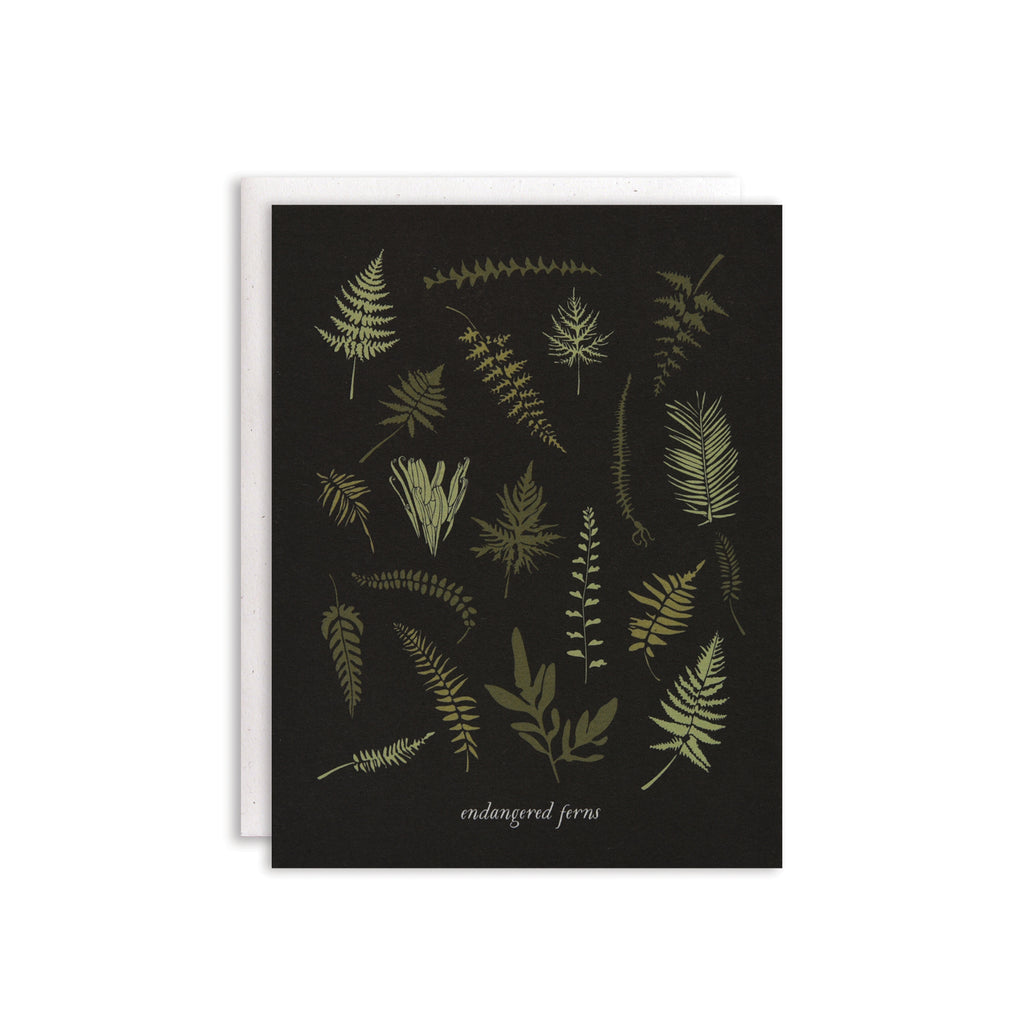 Endangered Ferns Boxed Cards / Set of 8