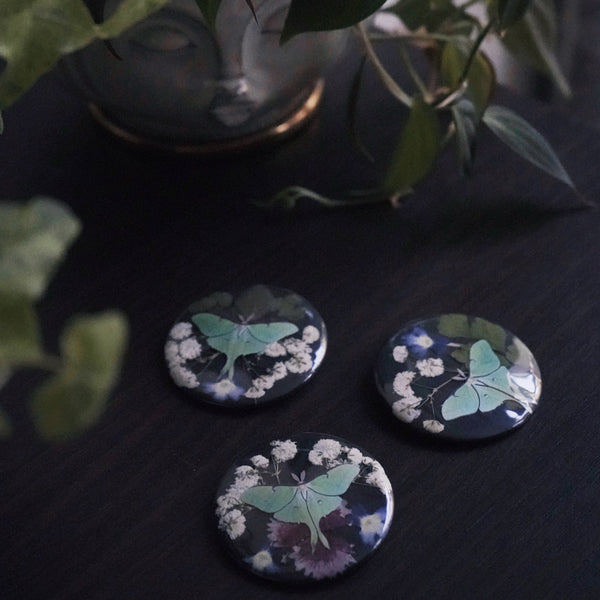 Nocturnal Bloom Button