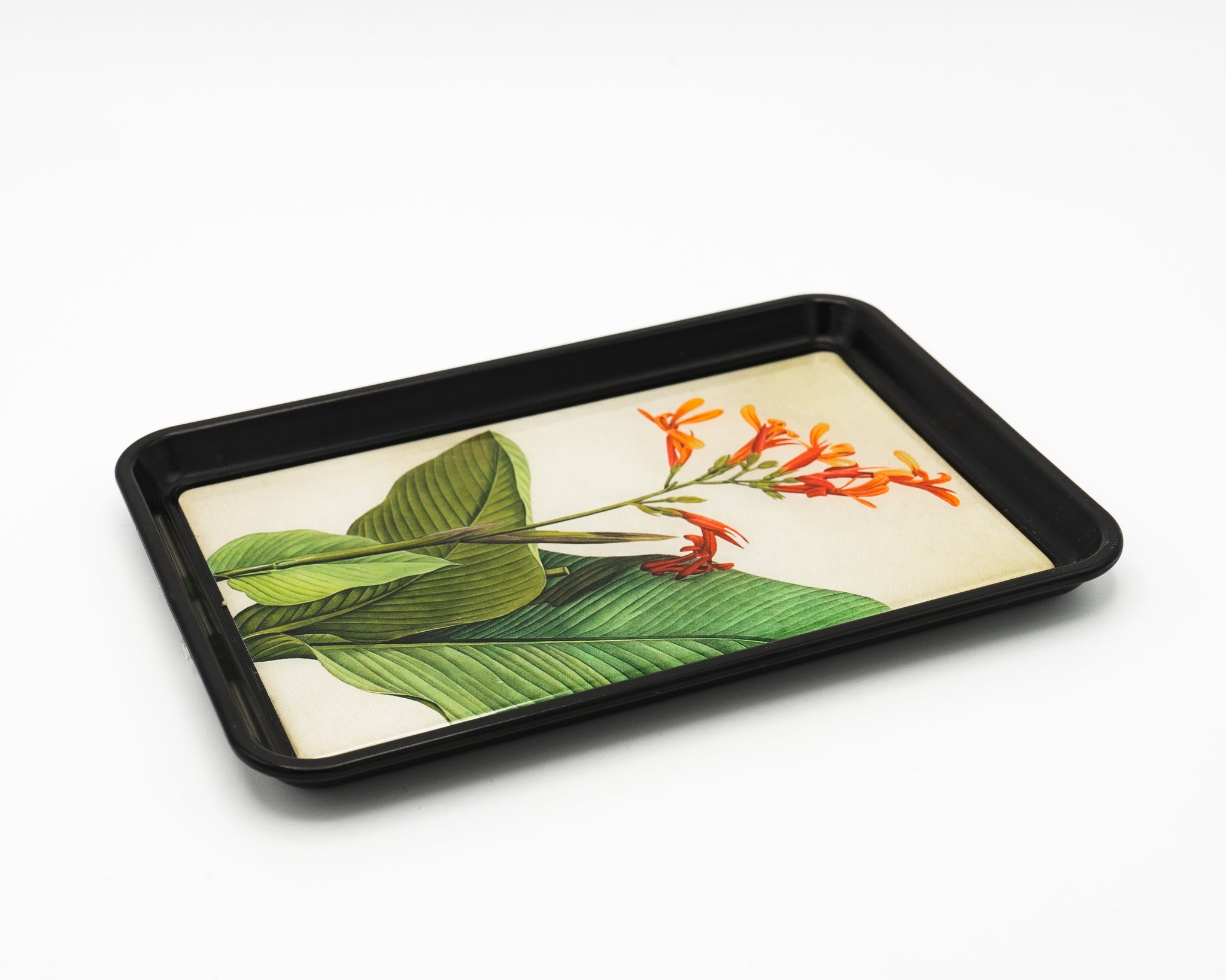 Botanical Art Trinket Tray (Small)