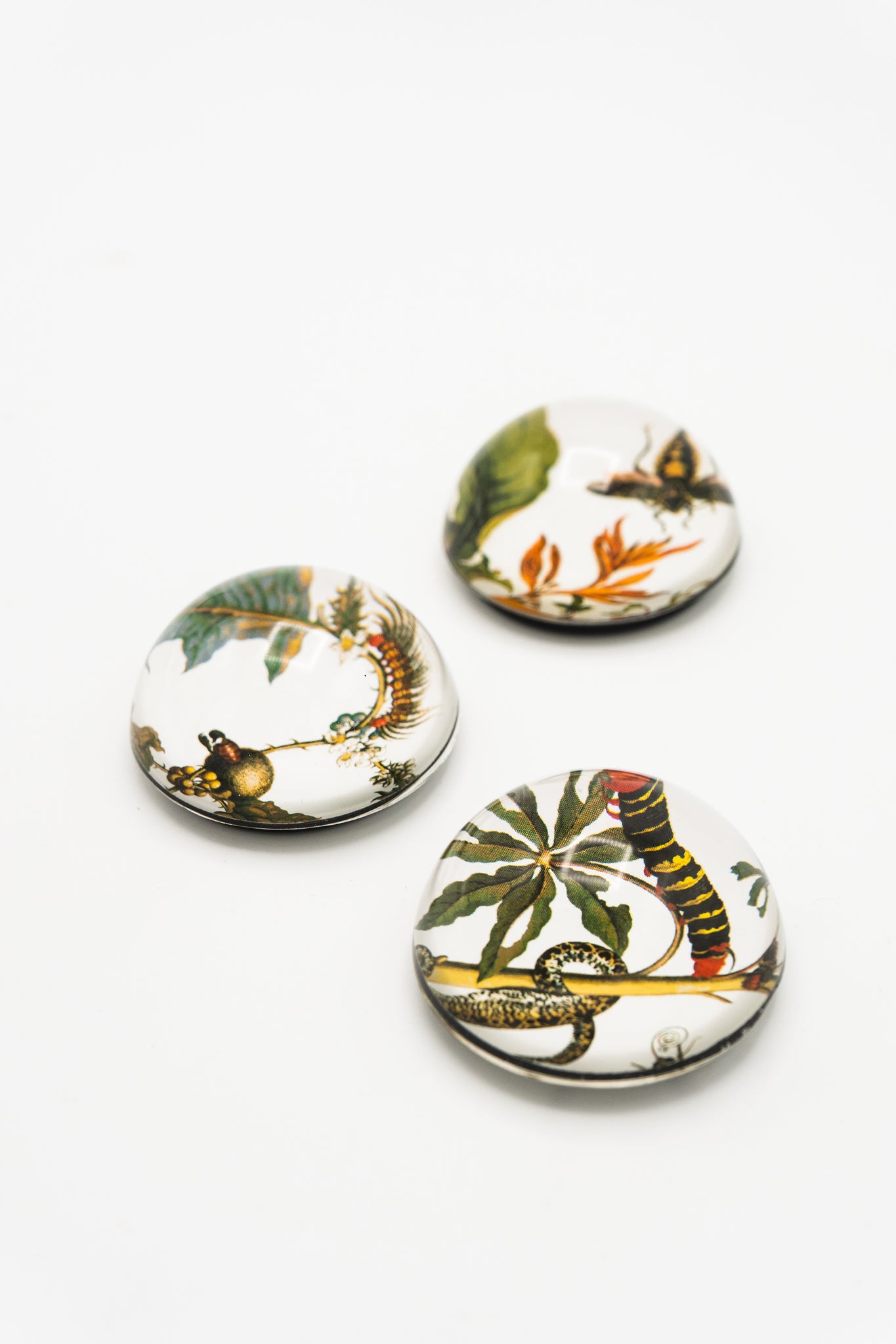 Botanical Art Cabochon Magnet - Set of Three